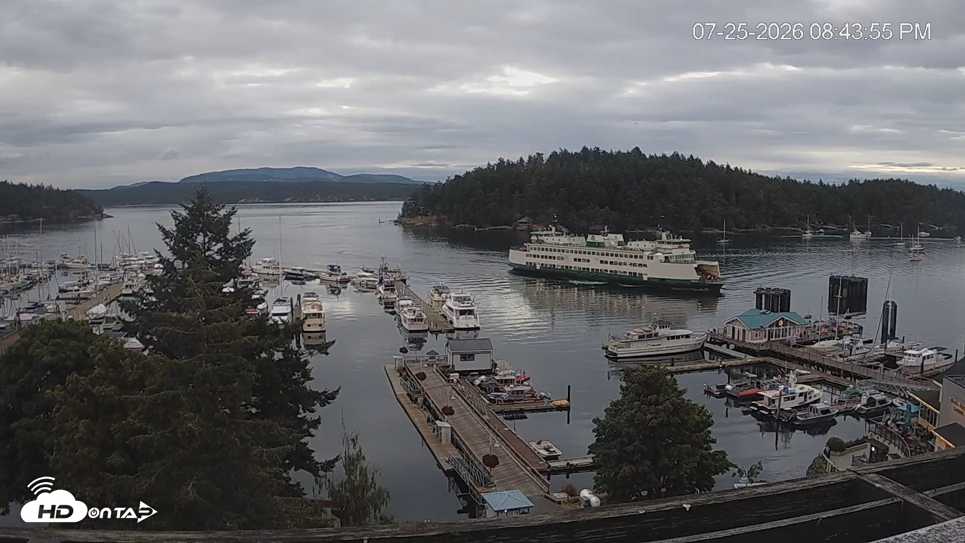 Snapshot of Friday Harbor - San Juan Island Live Webcam taken Jul 25, 2026, 8:44pm PDT