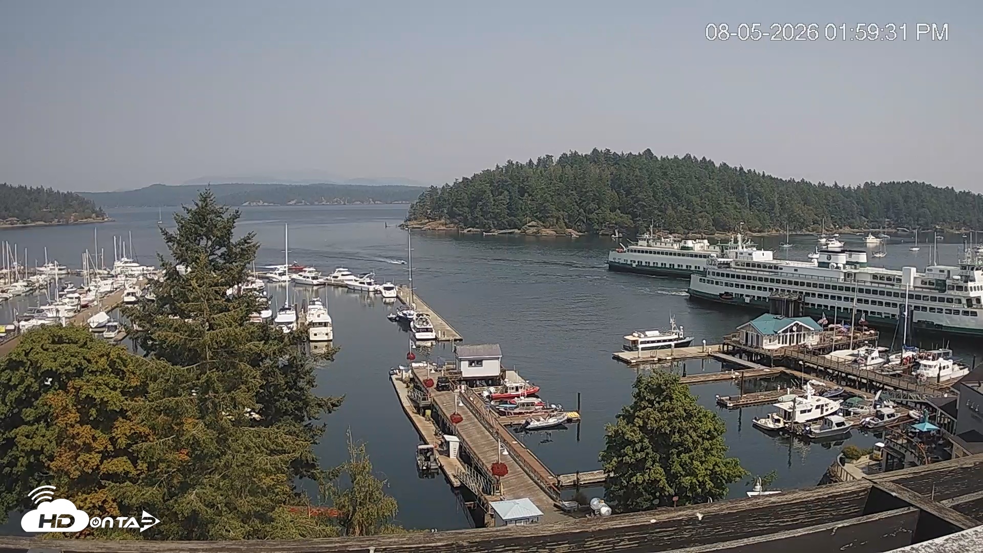 Snapshot of Friday Harbor - San Juan Island Live Webcam taken Aug 5, 2026, 2:00pm PDT