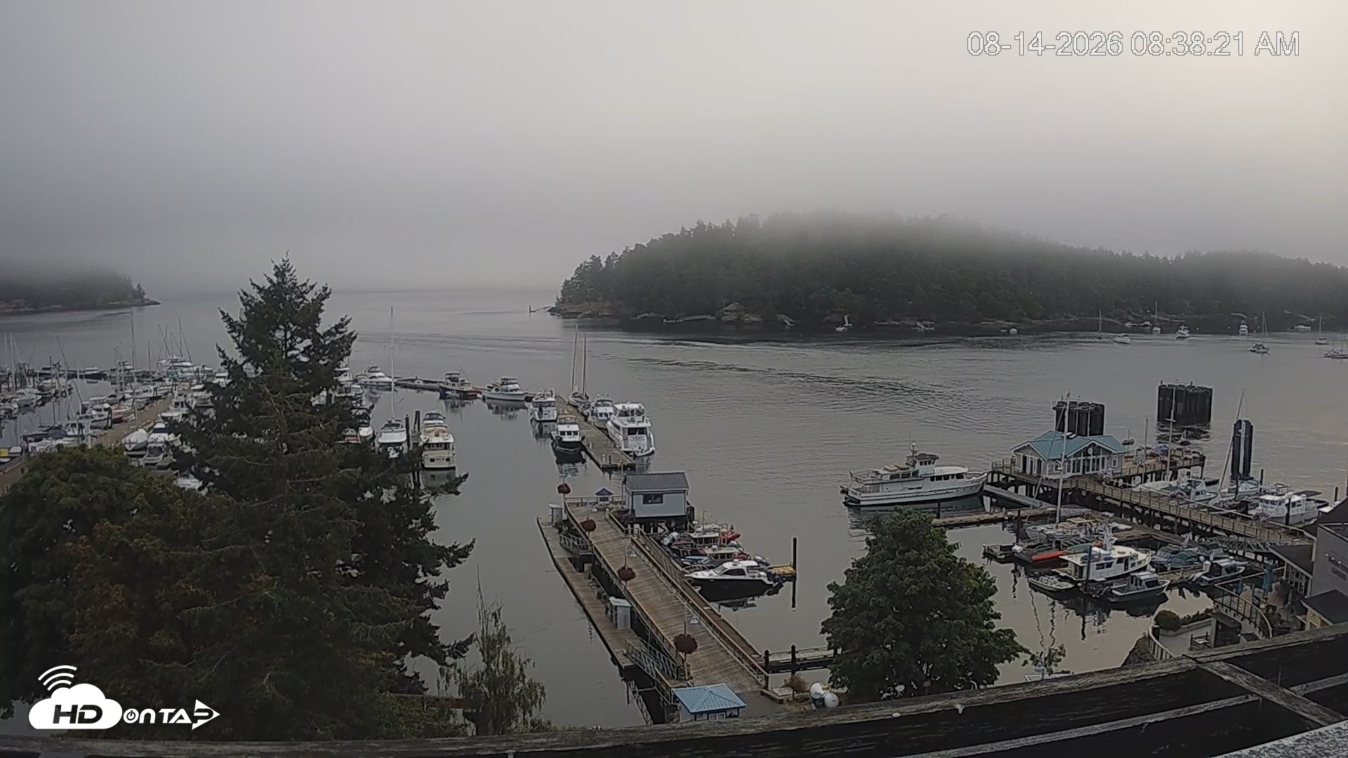 Snapshot of Friday Harbor - San Juan Island Live Webcam taken Aug 14, 2026, 8:39am PDT