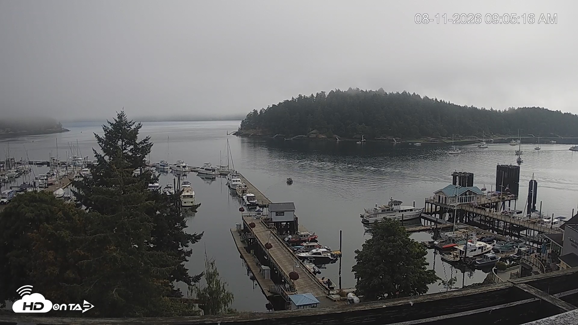 Snapshot of Friday Harbor - San Juan Island Live Webcam taken Aug 11, 2026, 9:06am PDT
