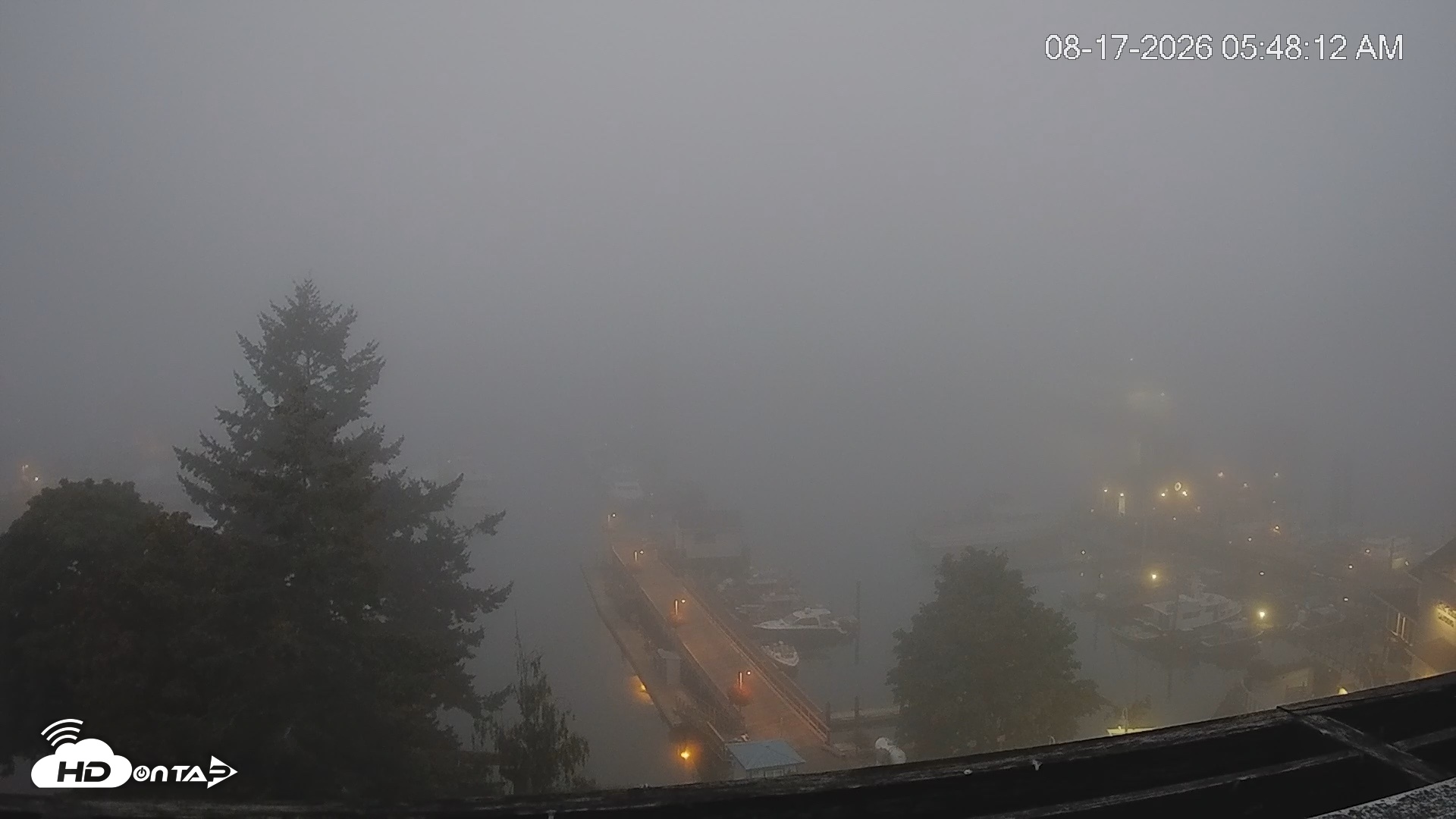 Snapshot of Friday Harbor - San Juan Island Live Webcam taken Aug 17, 2026, 5:48am PDT