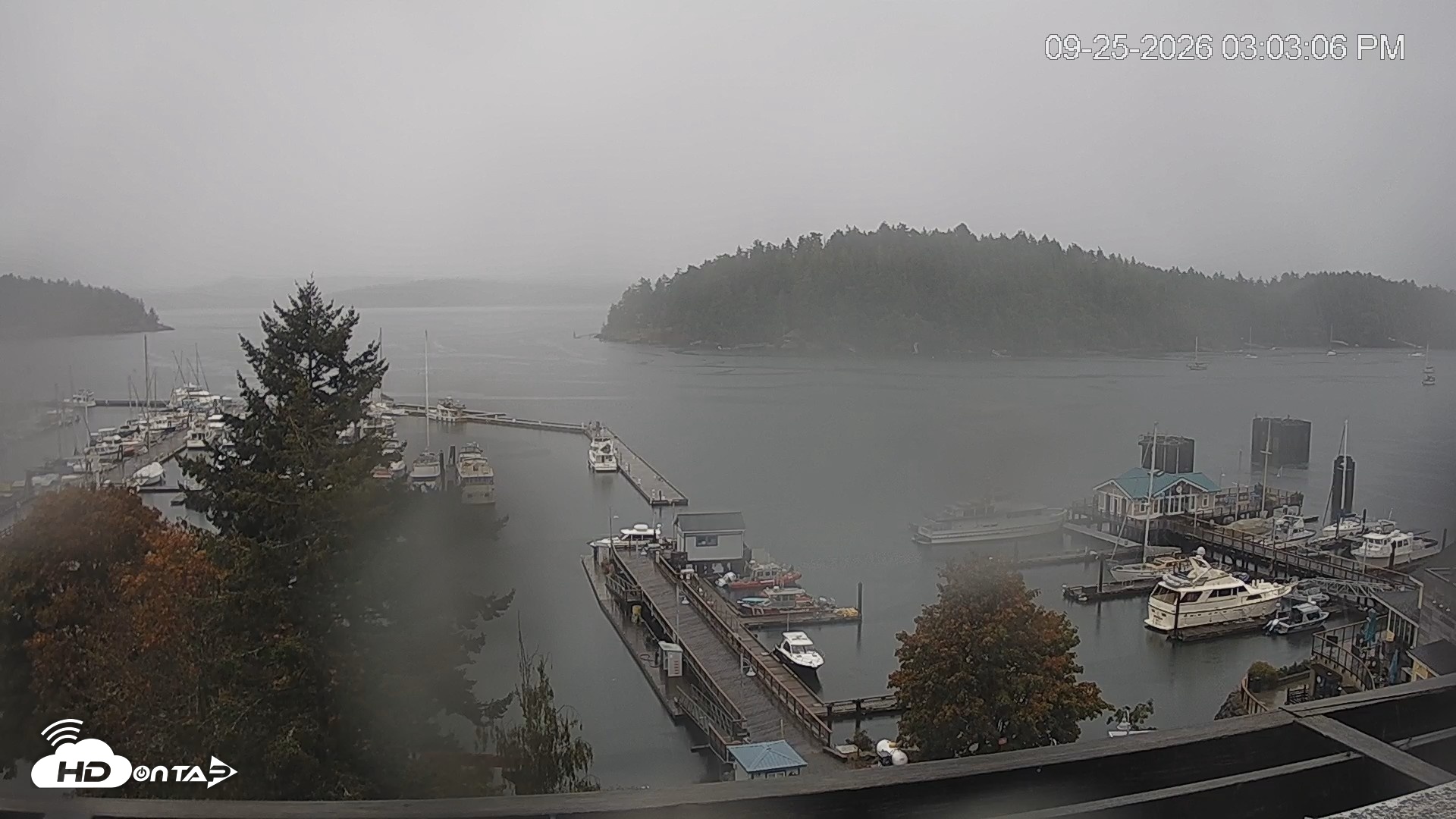 Snapshot of Friday Harbor - San Juan Island Live Webcam taken Sep 25, 2026, 3:04pm PDT