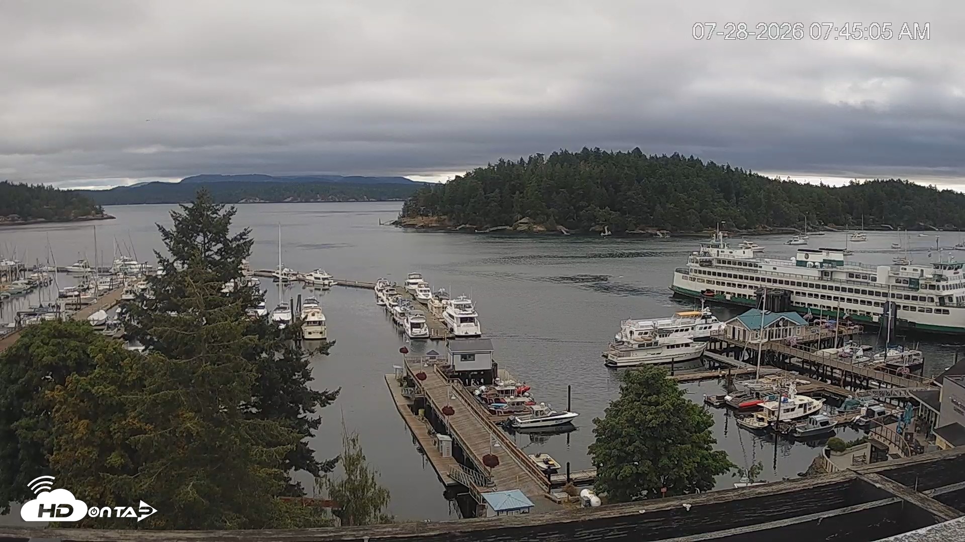 Snapshot of Friday Harbor - San Juan Island Live Webcam taken Jul 28, 2026, 7:46am PDT