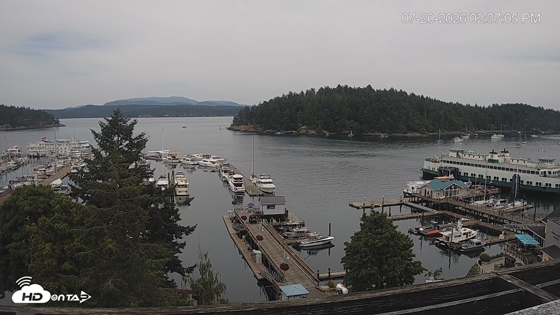 Snapshot of Friday Harbor - San Juan Island Live Webcam taken Jul 20, 2026, 2:37pm PDT