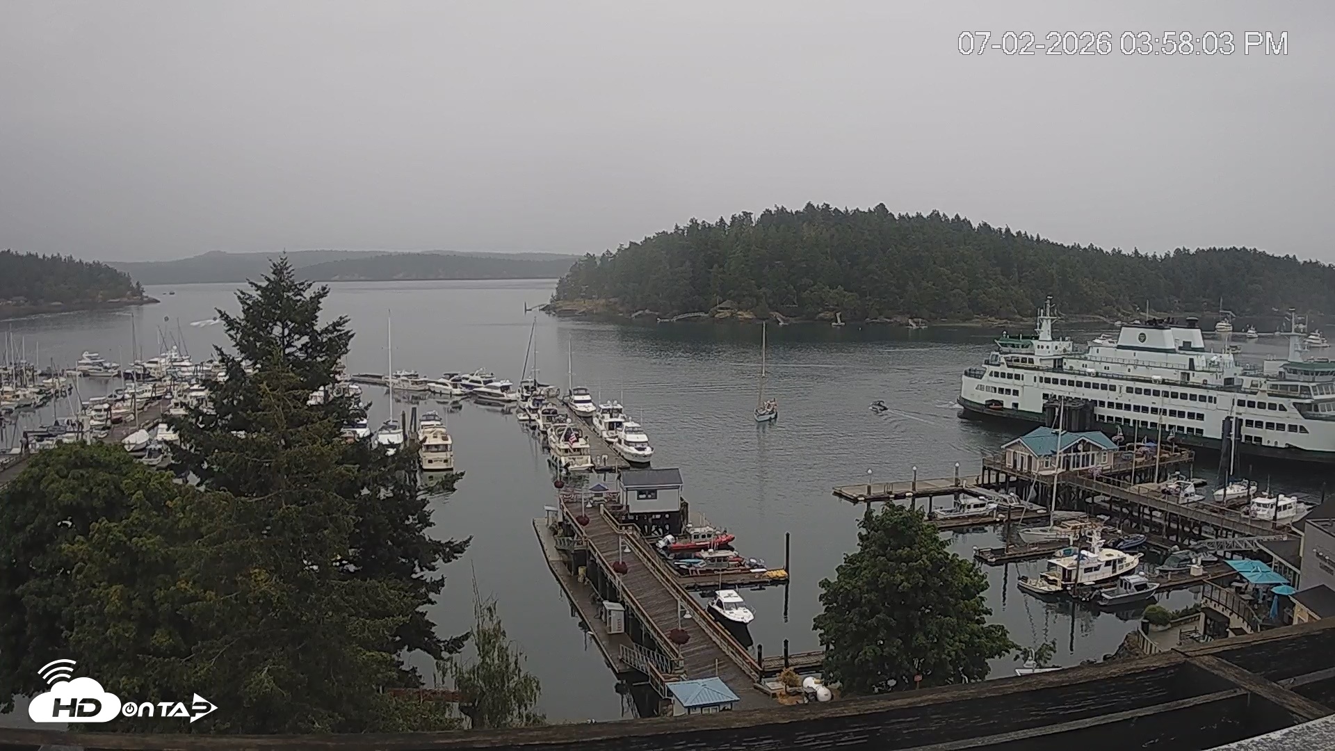 Snapshot of Friday Harbor - San Juan Island Live Webcam taken Jul 2, 2026, 3:58pm PDT