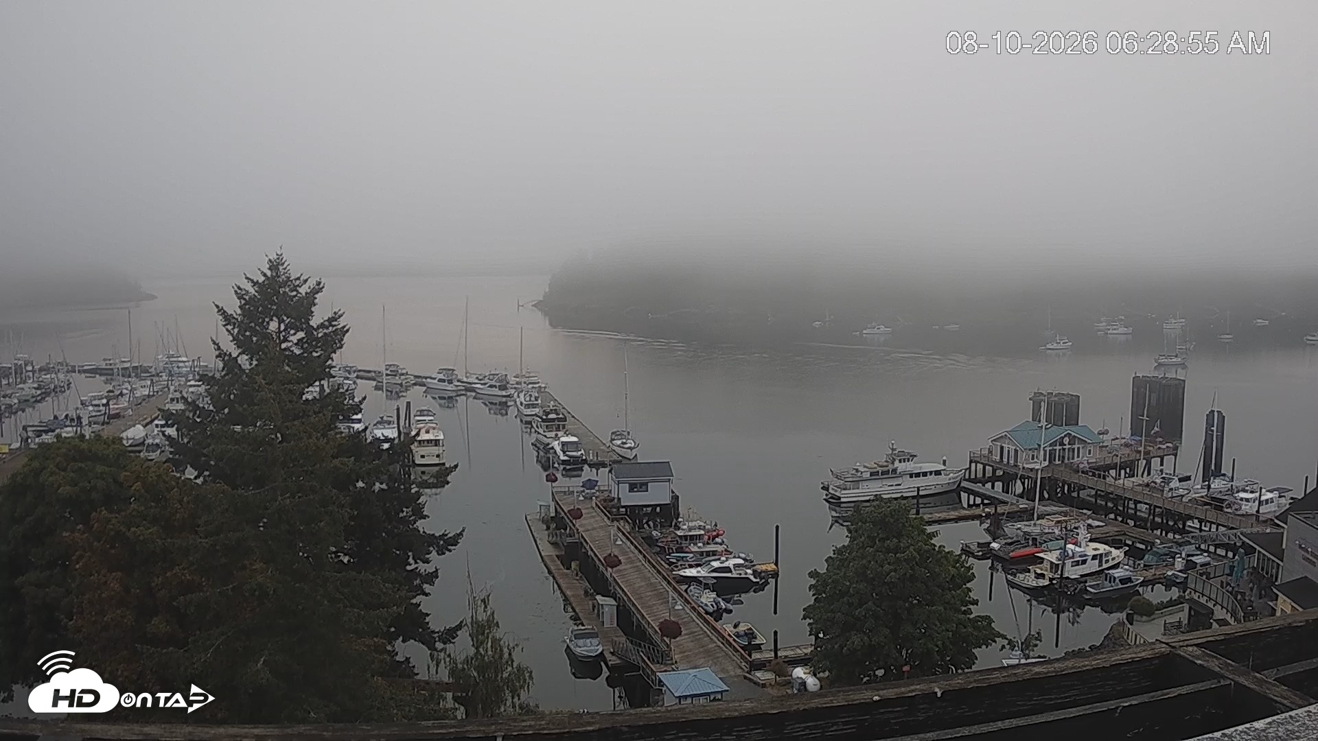 Snapshot of Friday Harbor - San Juan Island Live Webcam taken Aug 10, 2026, 6:29am PDT