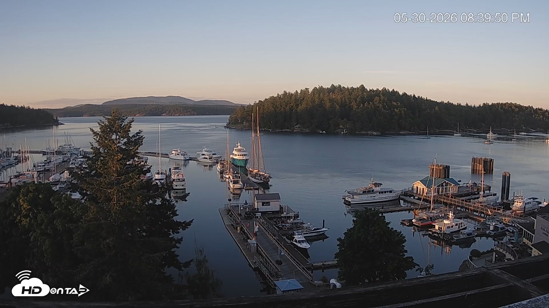 Snapshot of Friday Harbor - San Juan Island Live Webcam taken May 30, 2026, 8:40pm PDT