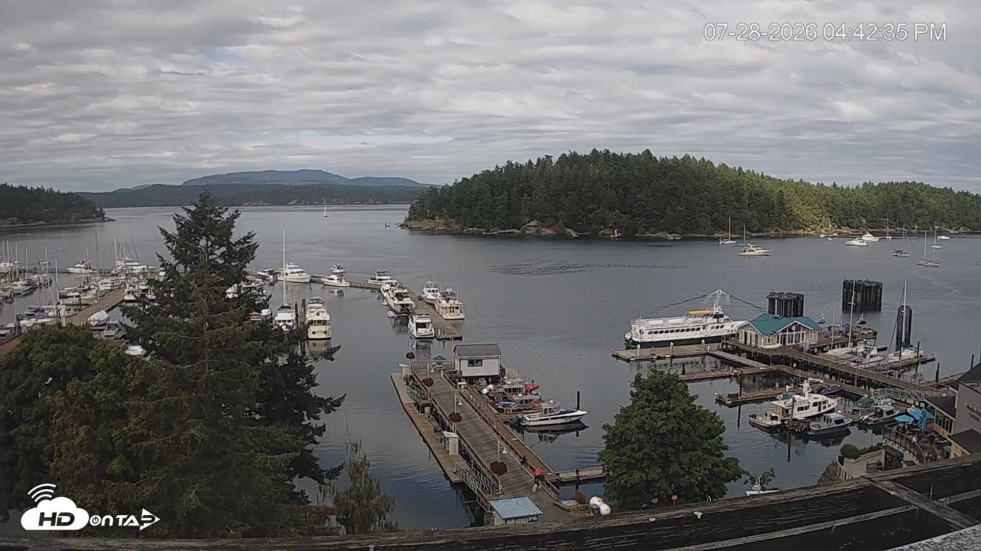 Snapshot of Friday Harbor - San Juan Island Live Webcam taken Jul 28, 2026, 4:43pm PDT