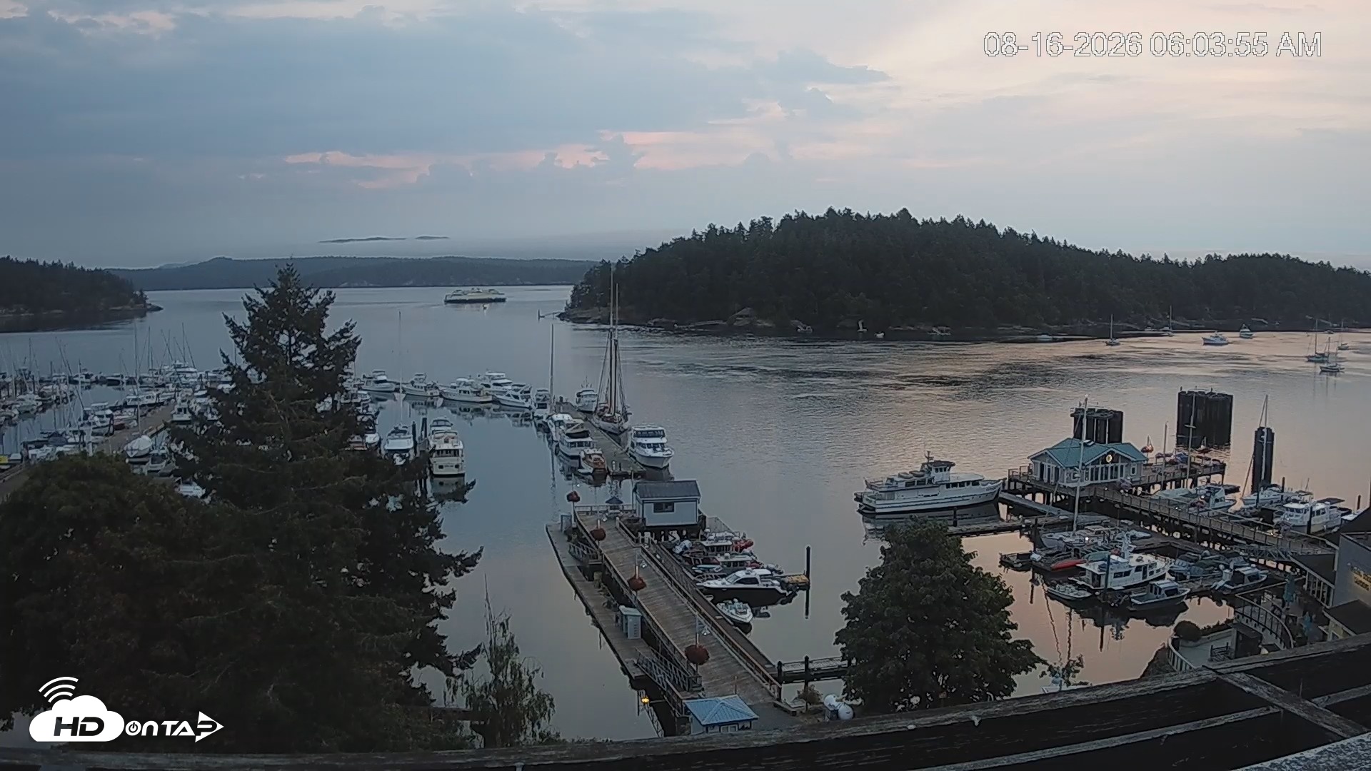 Snapshot of Friday Harbor - San Juan Island Live Webcam taken Aug 16, 2026, 6:04am PDT