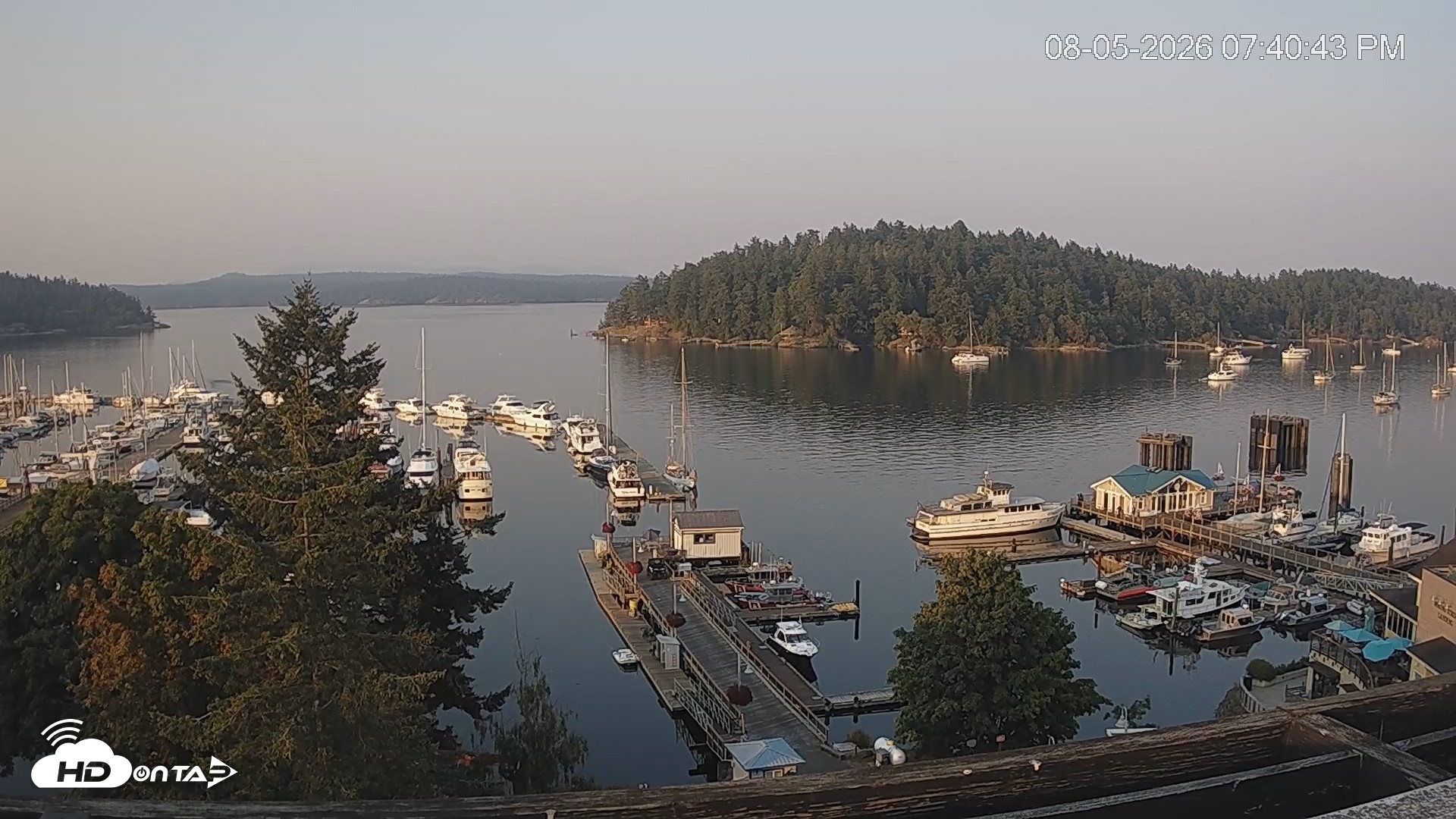 Snapshot of Friday Harbor - San Juan Island Live Webcam taken Aug 5, 2026, 7:42pm PDT