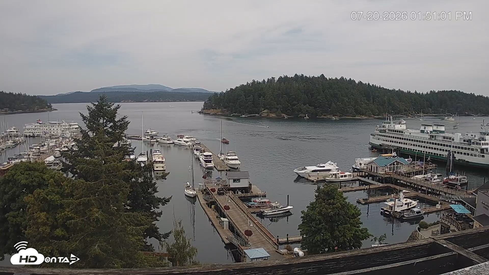 Snapshot of Friday Harbor - San Juan Island Live Webcam taken Jul 20, 2026, 1:51pm PDT