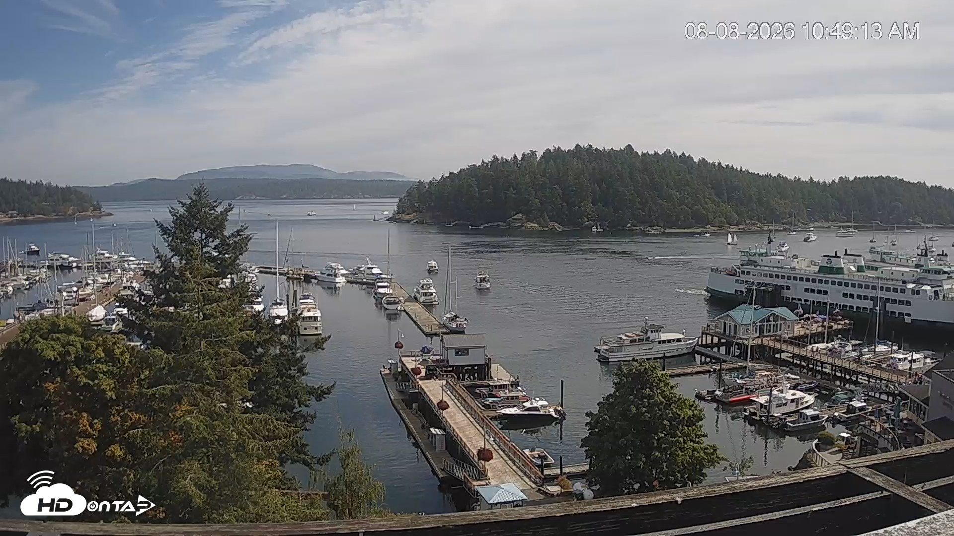Snapshot of Friday Harbor - San Juan Island Live Webcam taken Aug 8, 2026, 10:50am PDT