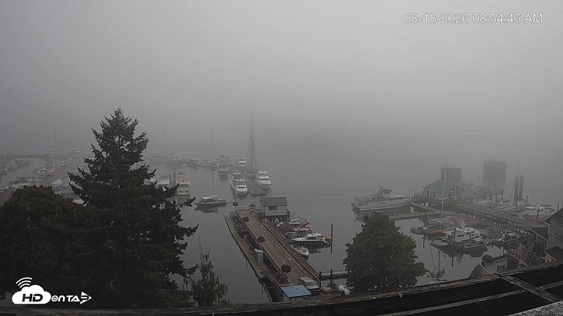 Snapshot of Friday Harbor - San Juan Island Live Webcam taken Aug 18, 2026, 8:55am PDT