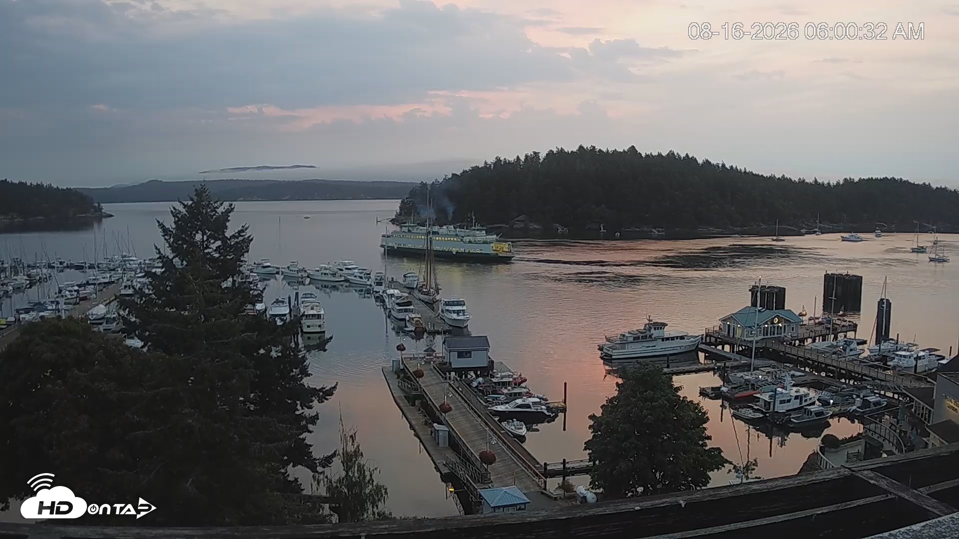 Snapshot of Friday Harbor - San Juan Island Live Webcam taken Aug 16, 2026, 6:02am PDT