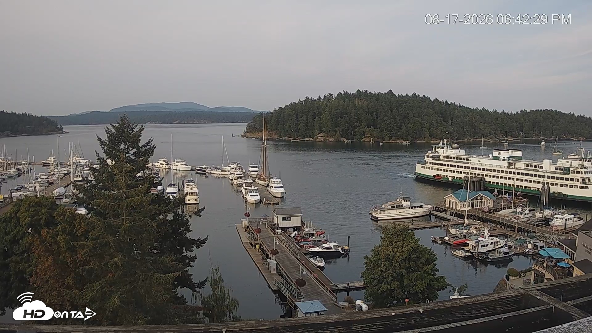 Snapshot of Friday Harbor - San Juan Island Live Webcam taken Aug 17, 2026, 6:43pm PDT