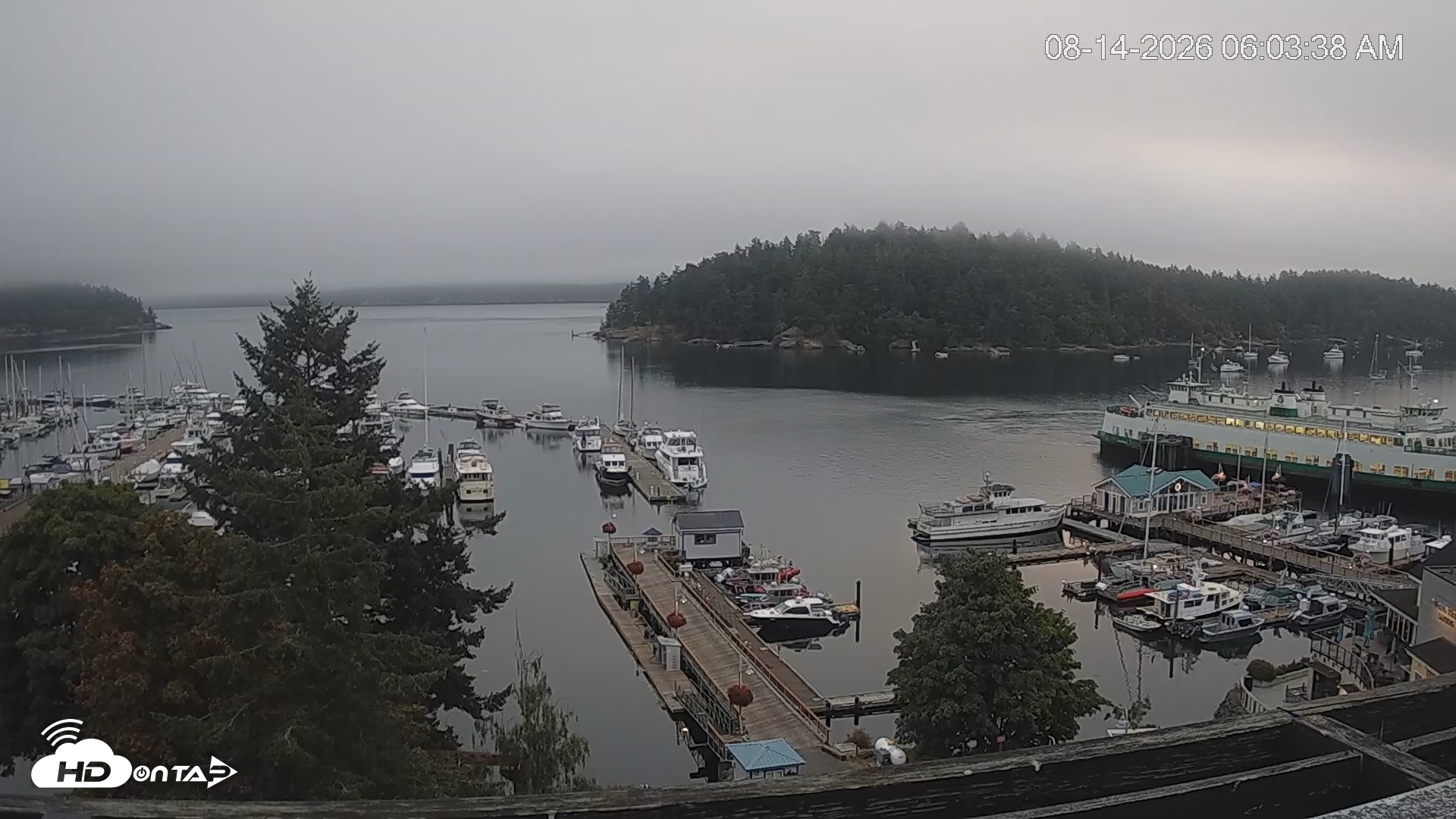 Snapshot of Friday Harbor - San Juan Island Live Webcam taken Aug 14, 2026, 6:04am PDT