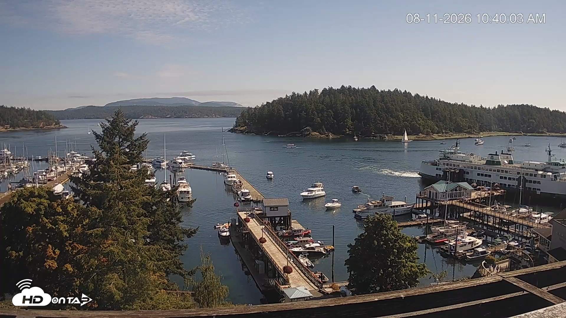 Snapshot of Friday Harbor - San Juan Island Live Webcam taken Aug 11, 2026, 10:42am PDT