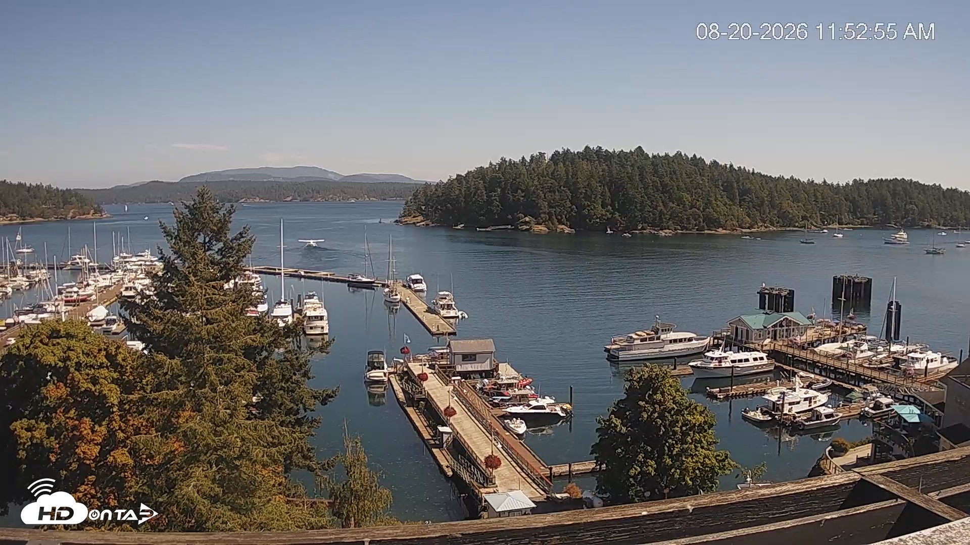 Snapshot of Friday Harbor - San Juan Island Live Webcam taken Aug 20, 2026, 11:53am PDT