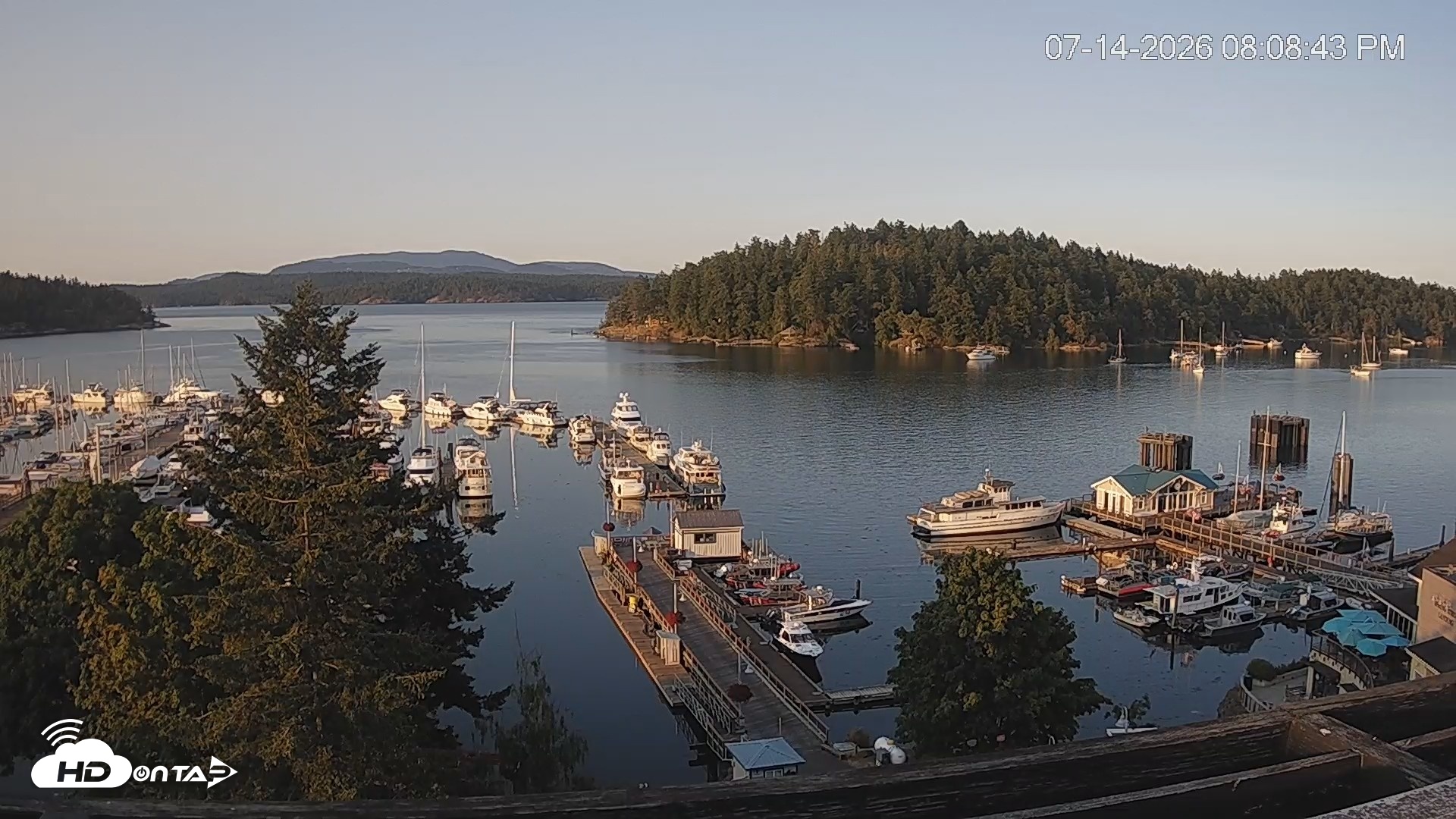 Snapshot of Friday Harbor - San Juan Island Live Webcam taken Jul 14, 2026, 8:09pm PDT