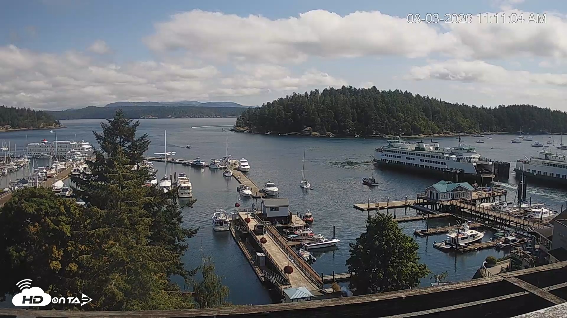 Snapshot of Friday Harbor - San Juan Island Live Webcam taken Aug 3, 2026, 11:12am PDT