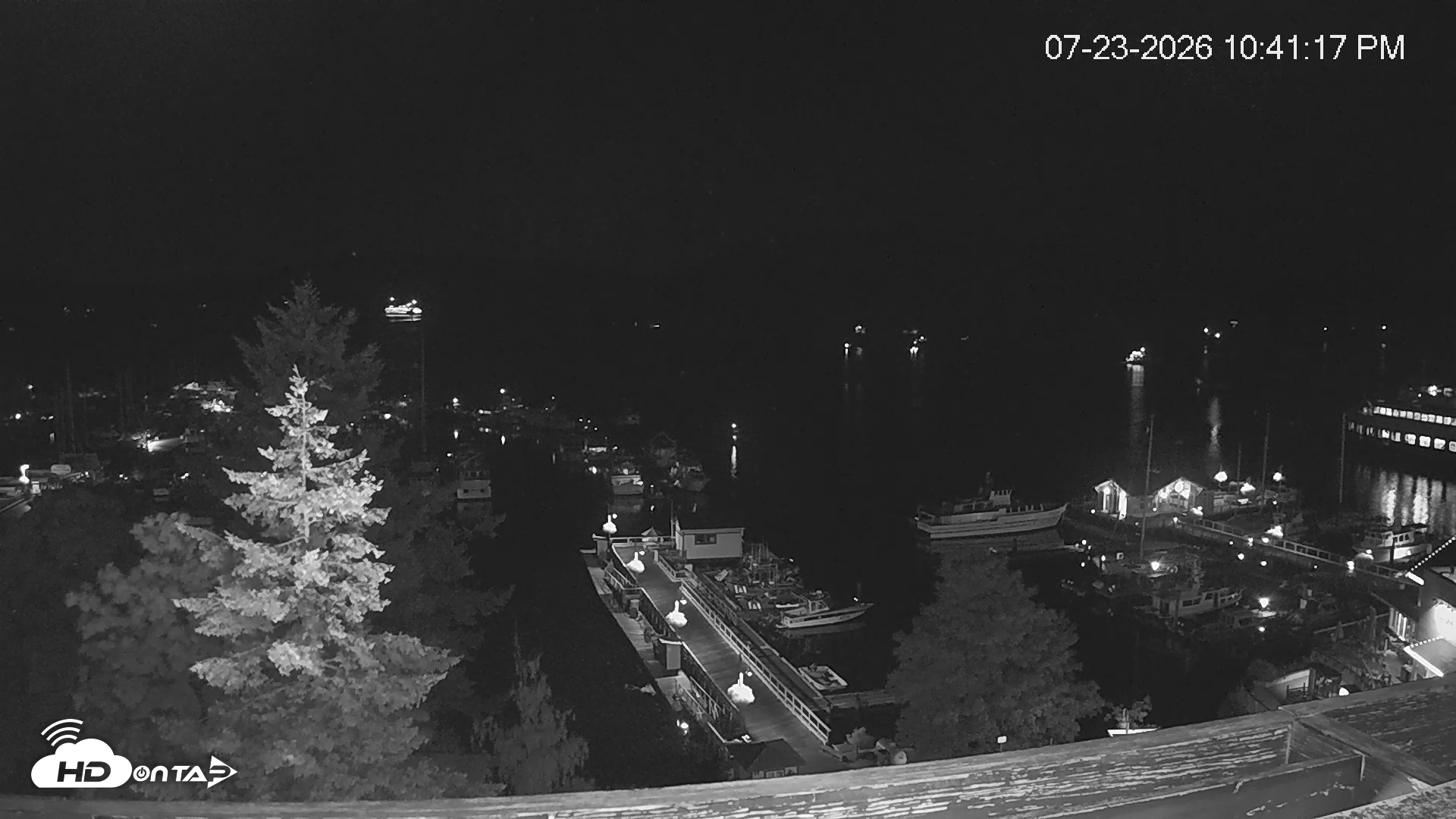 Snapshot of Friday Harbor - San Juan Island Live Webcam taken Jul 23, 2026, 10:41pm PDT