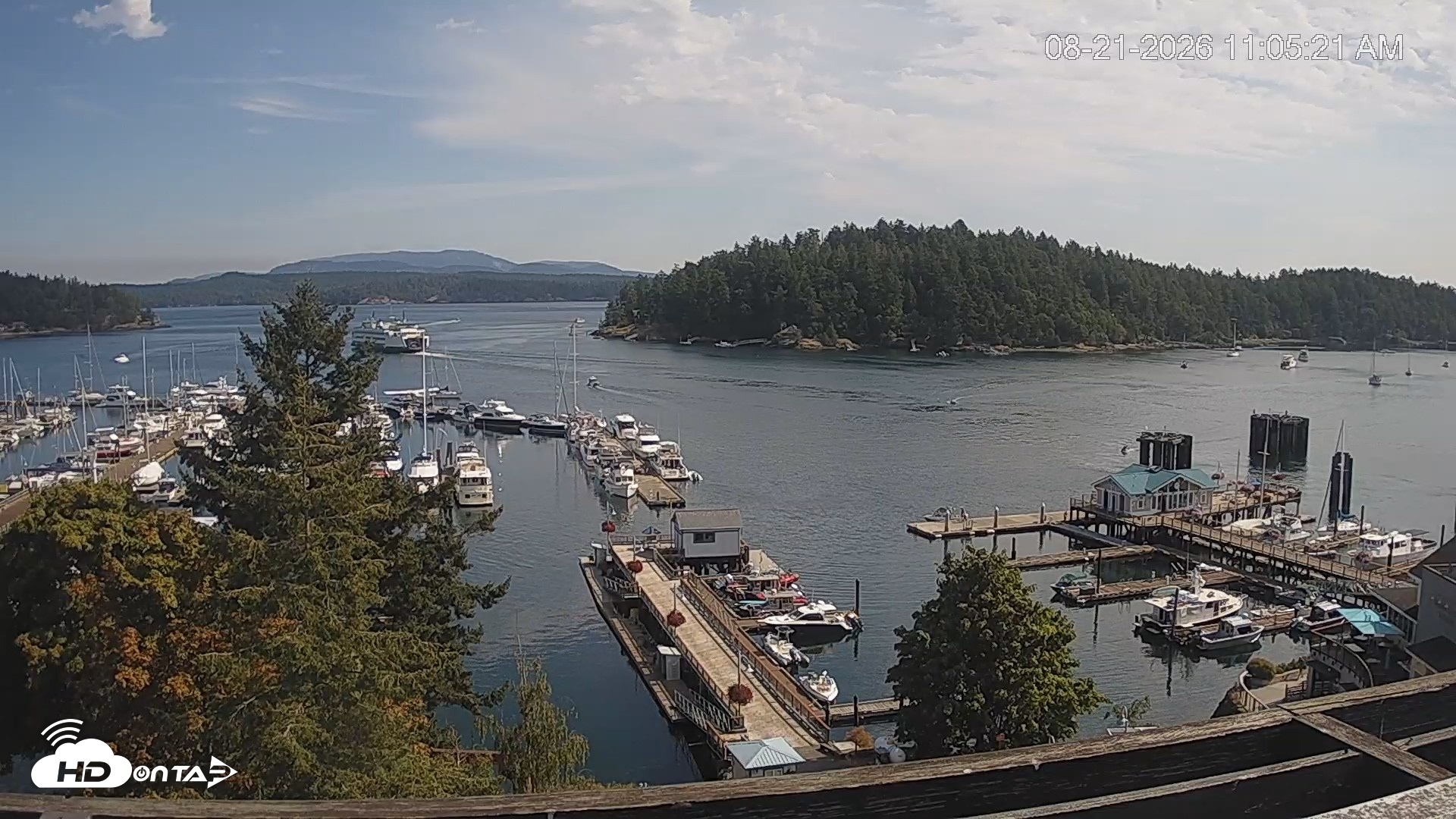 Snapshot of Friday Harbor - San Juan Island Live Webcam taken Aug 21, 2026, 11:06am PDT