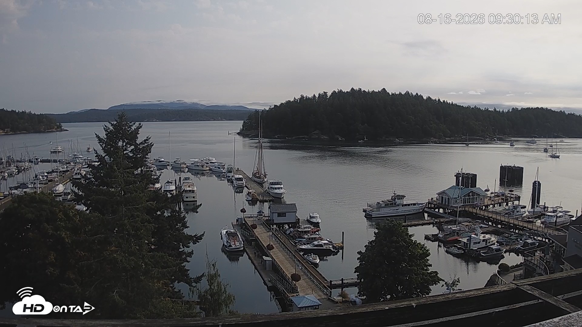 Snapshot of Friday Harbor - San Juan Island Live Webcam taken Aug 16, 2026, 9:30am PDT
