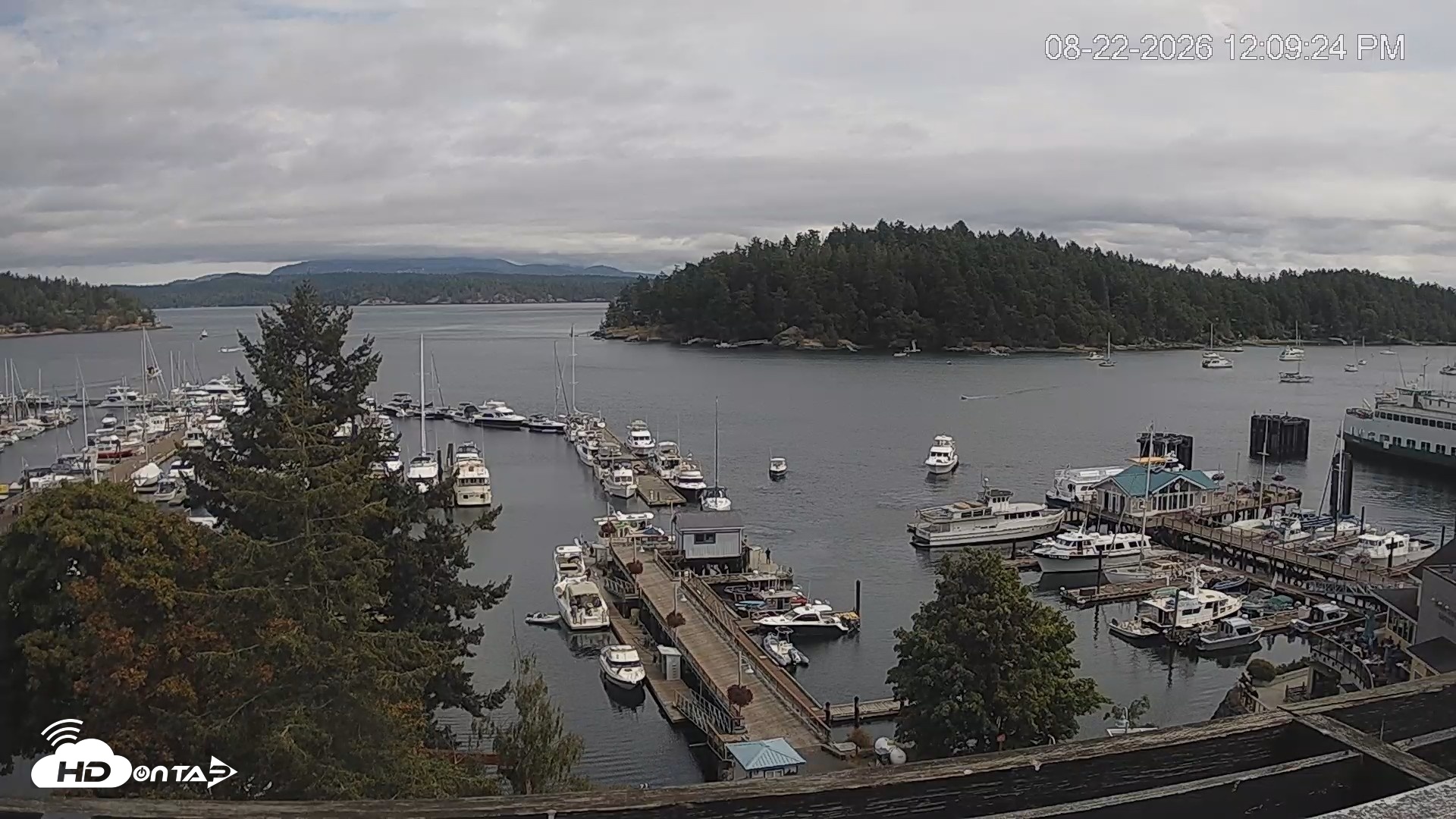 Snapshot of Friday Harbor - San Juan Island Live Webcam taken Aug 22, 2026, 12:10pm PDT