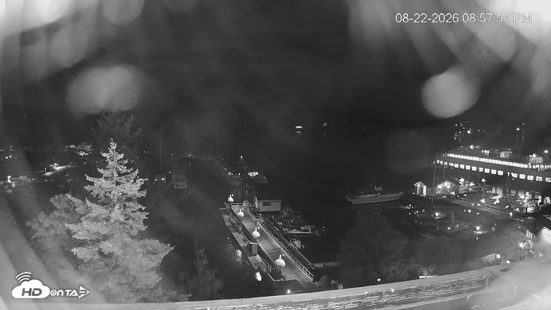 Snapshot of Friday Harbor - San Juan Island Live Webcam taken Aug 22, 2026, 8:58pm PDT