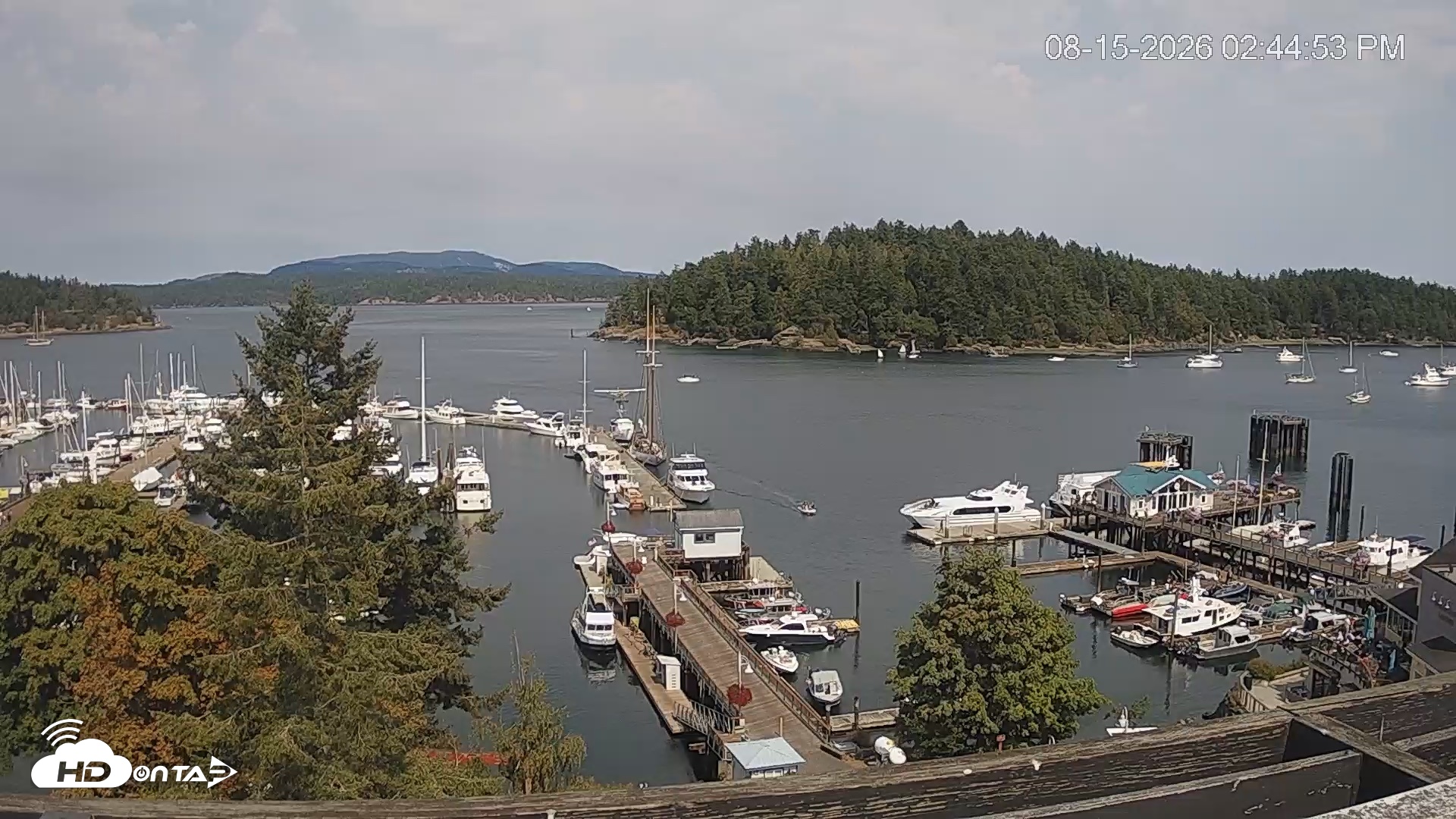 Snapshot of Friday Harbor - San Juan Island Live Webcam taken Aug 15, 2026, 2:45pm PDT