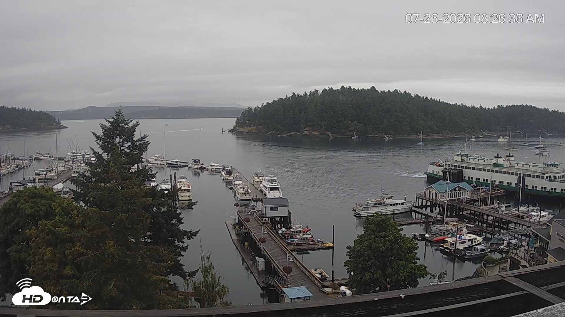 Snapshot of Friday Harbor - San Juan Island Live Webcam taken Jul 26, 2026, 8:27am PDT