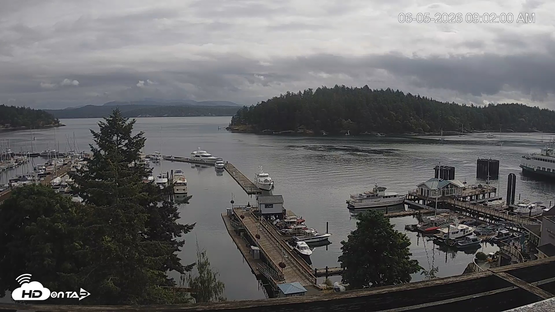 Snapshot of Friday Harbor - San Juan Island Live Webcam taken Jun 5, 2026, 9:02am PDT