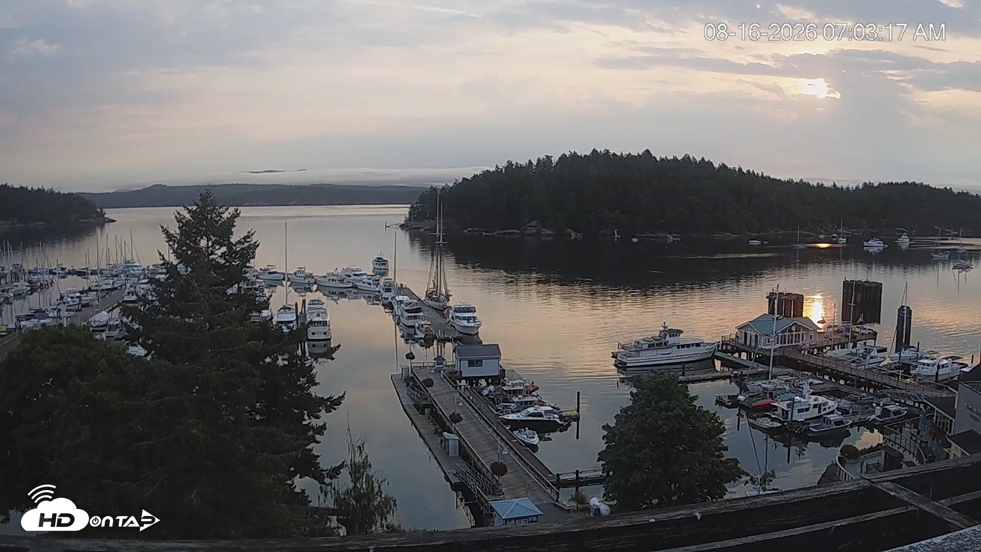 Snapshot of Friday Harbor - San Juan Island Live Webcam taken Aug 16, 2026, 7:04am PDT
