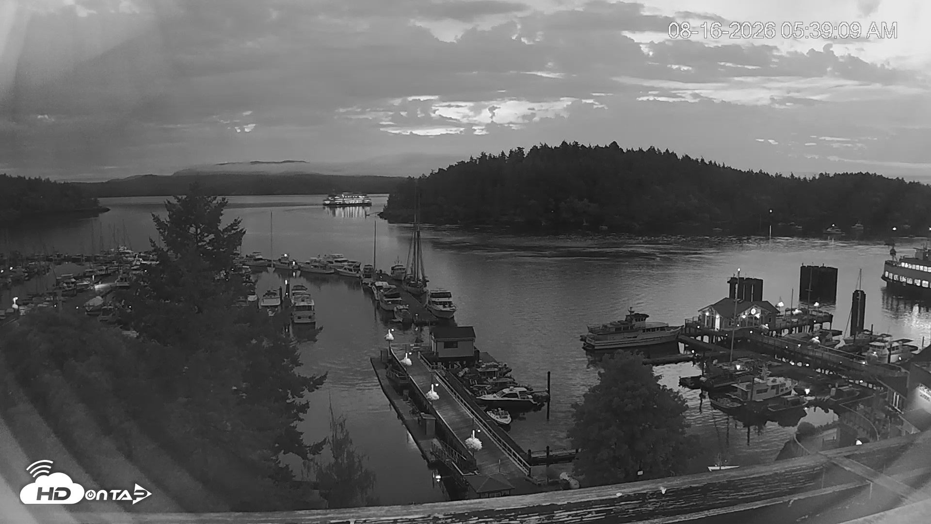 Snapshot of Friday Harbor - San Juan Island Live Webcam taken Aug 16, 2026, 5:41am PDT