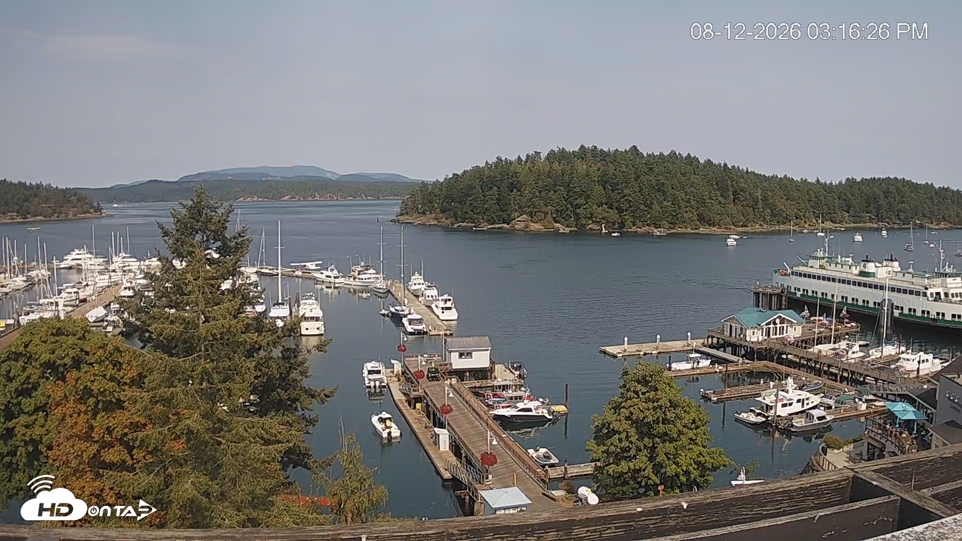 Snapshot of Friday Harbor - San Juan Island Live Webcam taken Aug 12, 2026, 3:17pm PDT