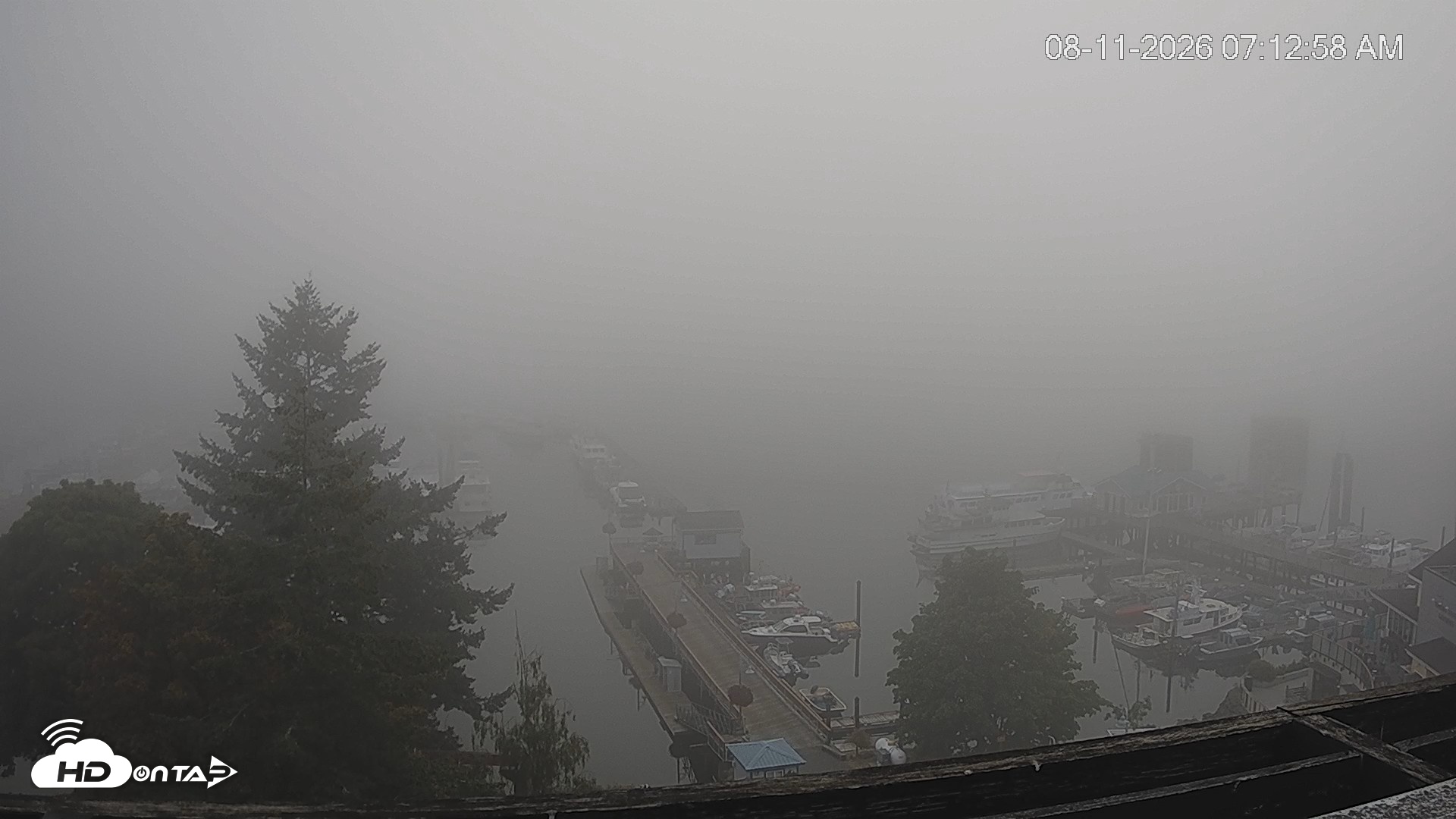 Snapshot of Friday Harbor - San Juan Island Live Webcam taken Aug 11, 2026, 7:13am PDT