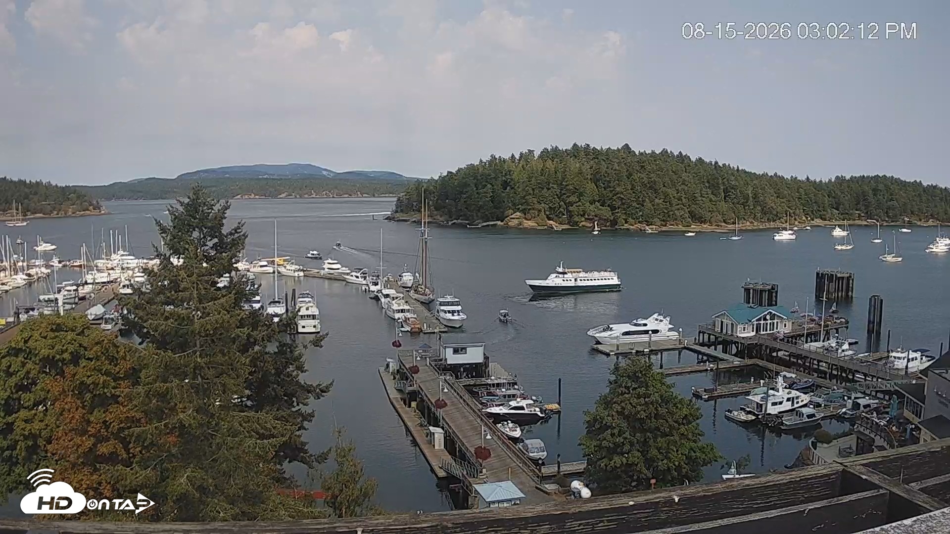 Snapshot of Friday Harbor - San Juan Island Live Webcam taken Aug 15, 2026, 3:02pm PDT