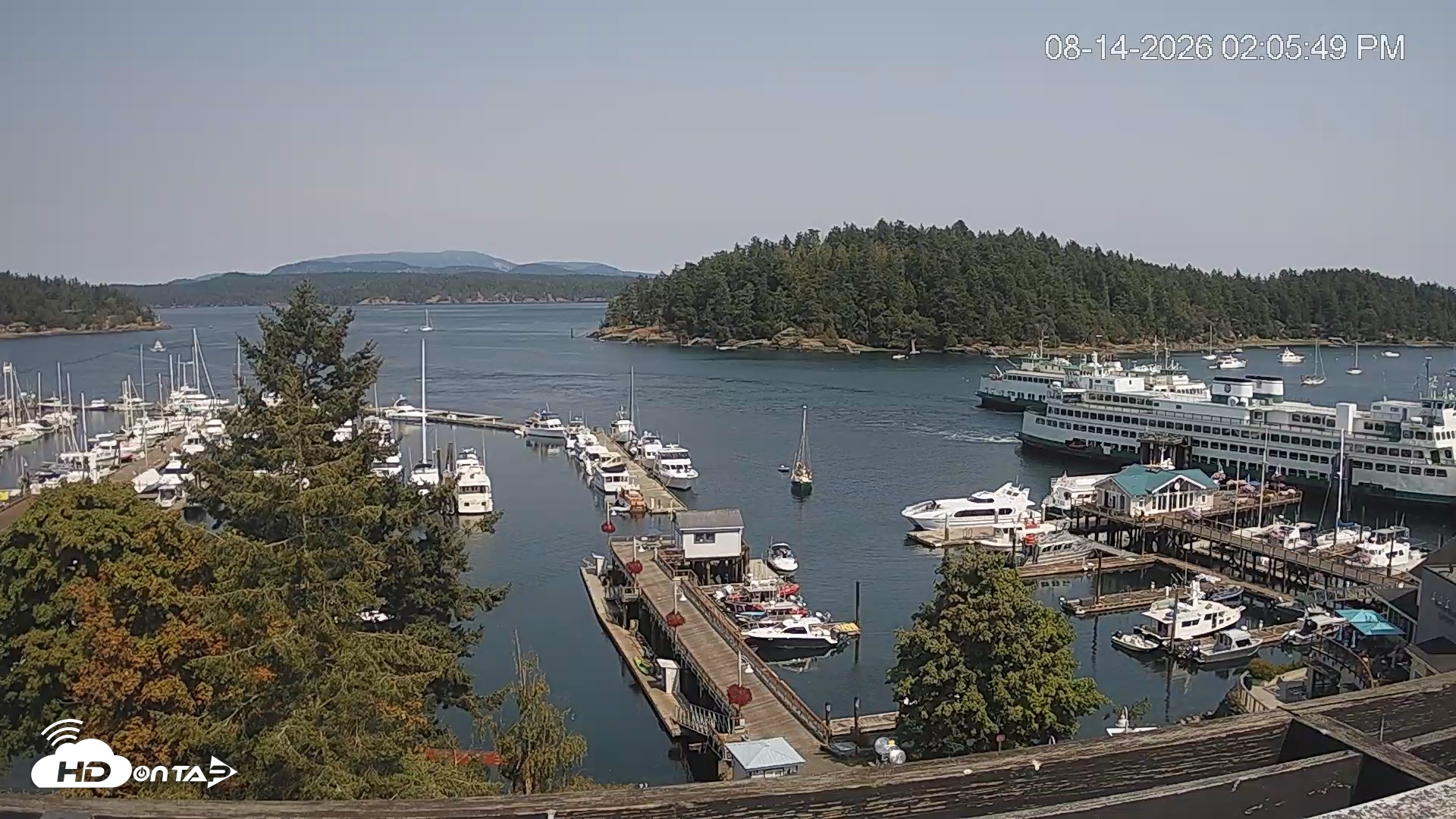 Snapshot of Friday Harbor - San Juan Island Live Webcam taken Aug 14, 2026, 2:06pm PDT
