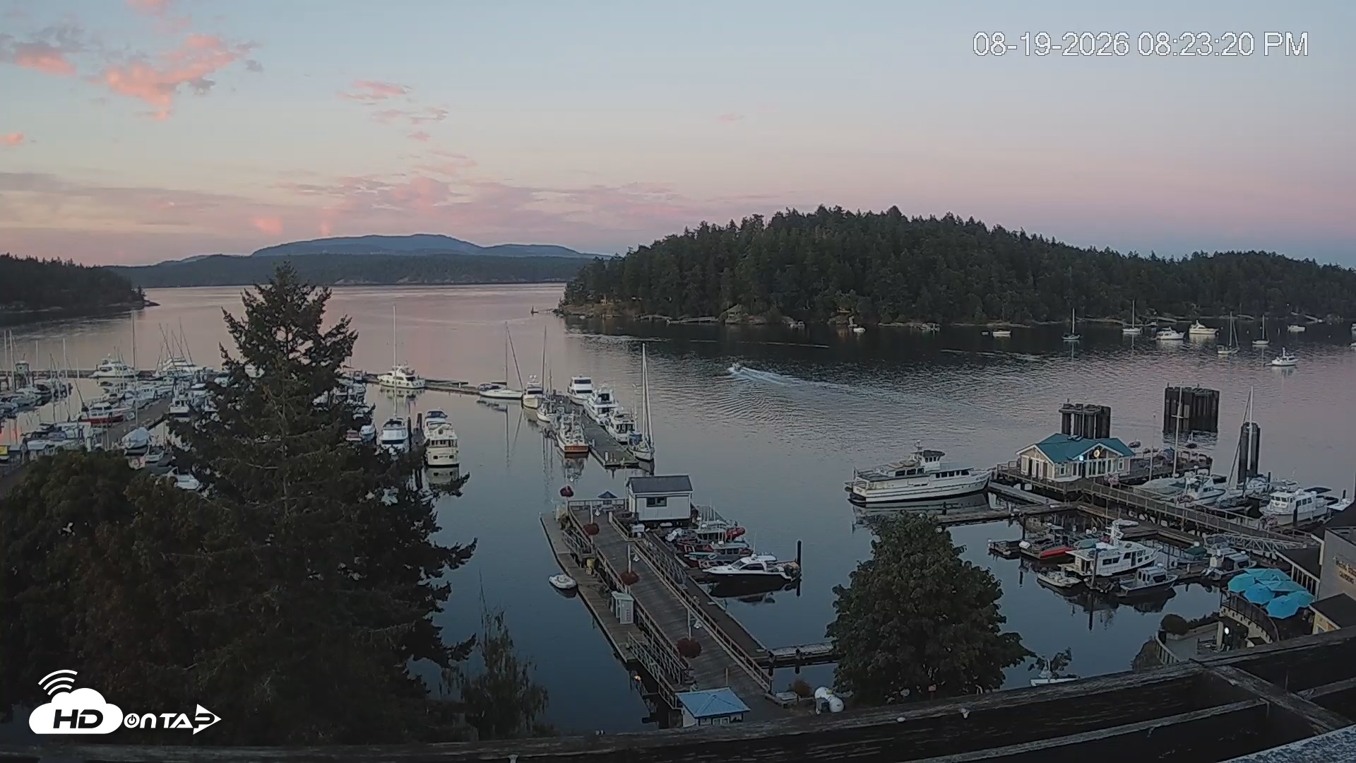 Snapshot of Friday Harbor - San Juan Island Live Webcam taken Aug 19, 2026, 8:24pm PDT