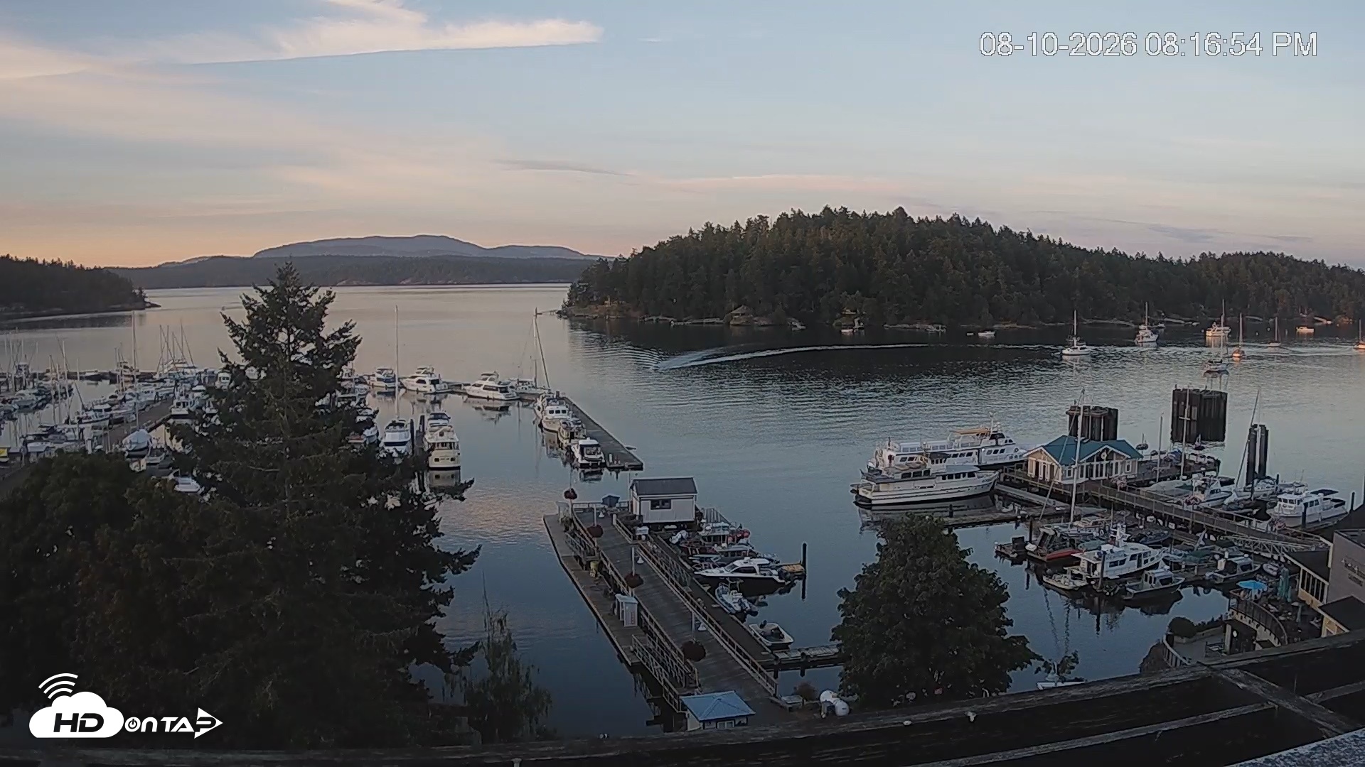 Snapshot of Friday Harbor - San Juan Island Live Webcam taken Aug 10, 2026, 8:17pm PDT