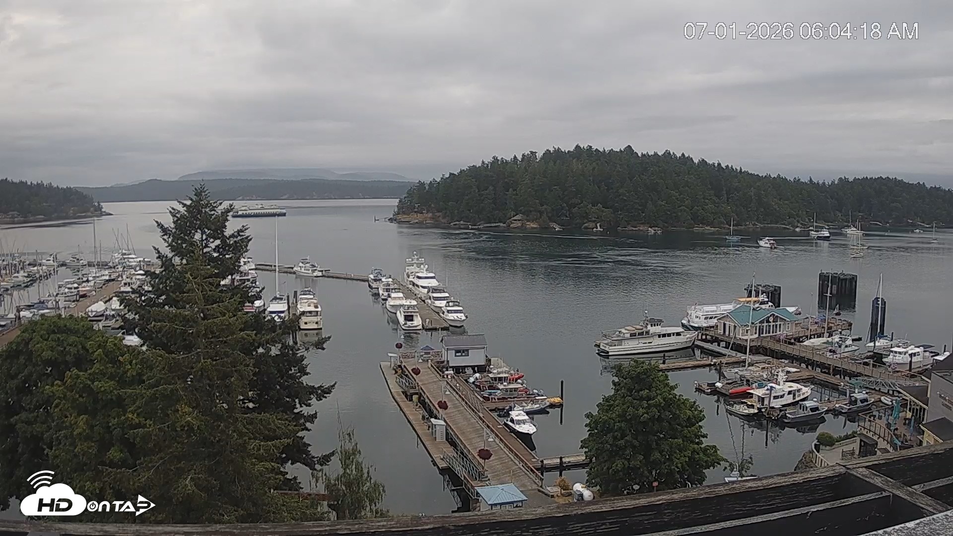 Snapshot of Friday Harbor - San Juan Island Live Webcam taken Jul 1, 2026, 6:04am PDT