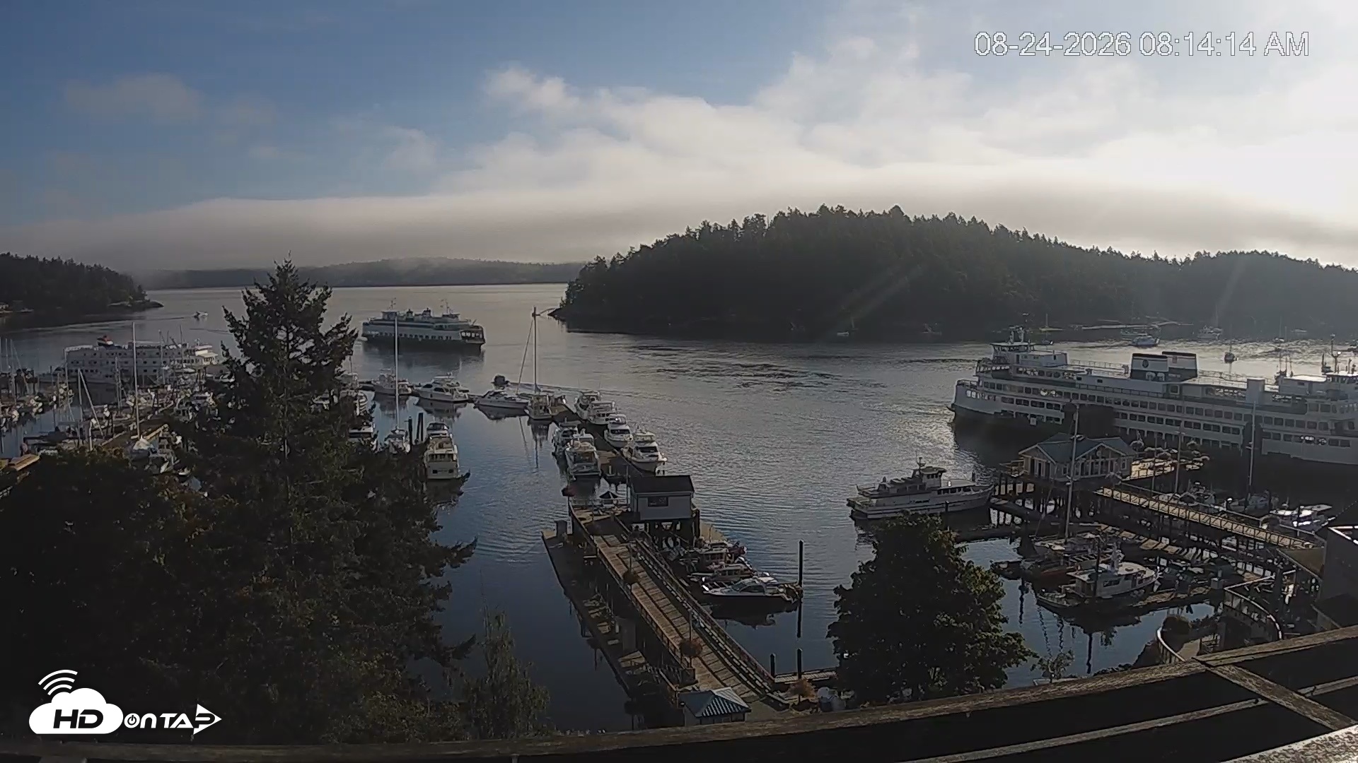 Snapshot of Friday Harbor - San Juan Island Live Webcam taken Aug 24, 2026, 8:14am PDT