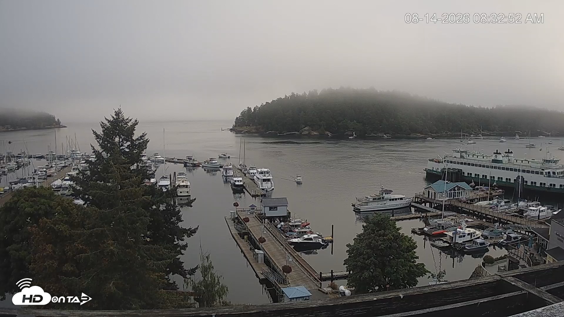 Snapshot of Friday Harbor - San Juan Island Live Webcam taken Aug 14, 2026, 8:33am PDT