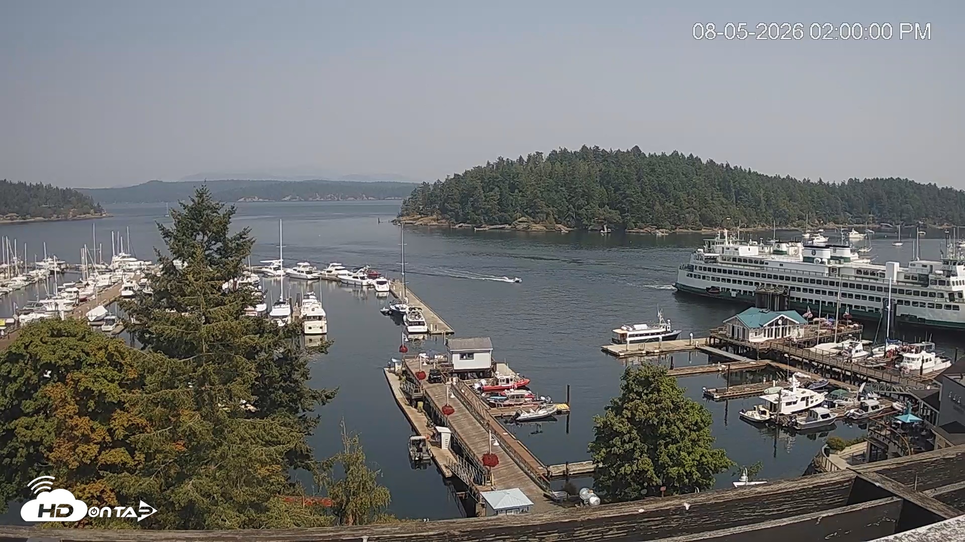 Snapshot of Friday Harbor - San Juan Island Live Webcam taken Aug 5, 2026, 2:00pm PDT