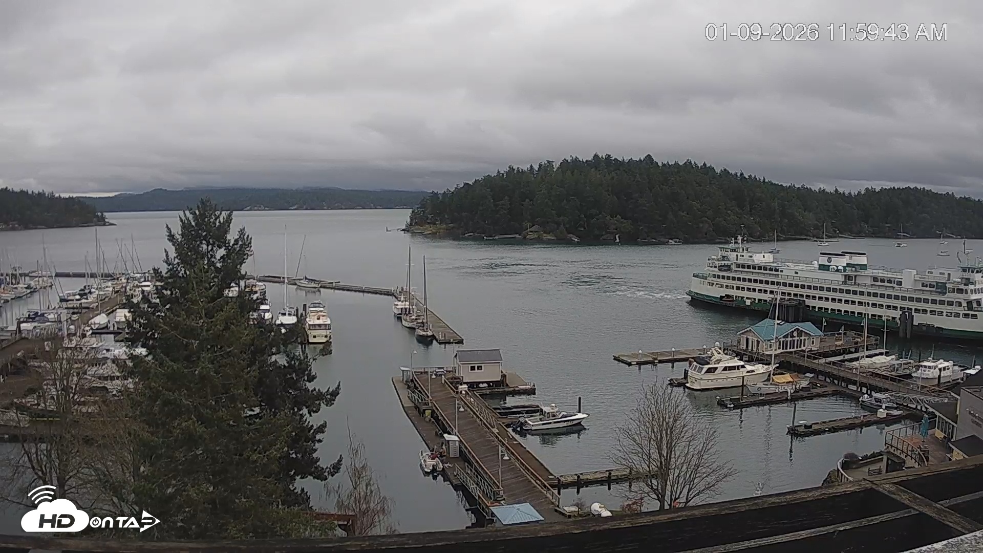 Snapshot of Friday Harbor - San Juan Island Live Webcam taken Jan 9, 2026, 12:00pm PST