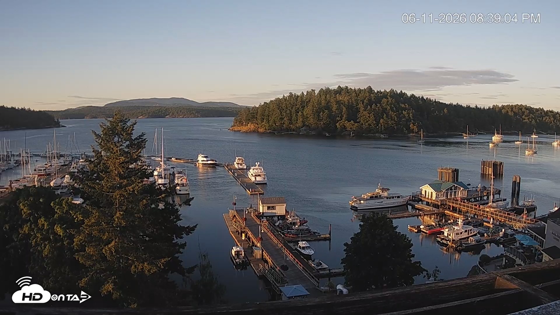 Snapshot of Friday Harbor - San Juan Island Live Webcam taken Jun 11, 2026, 8:40pm PDT