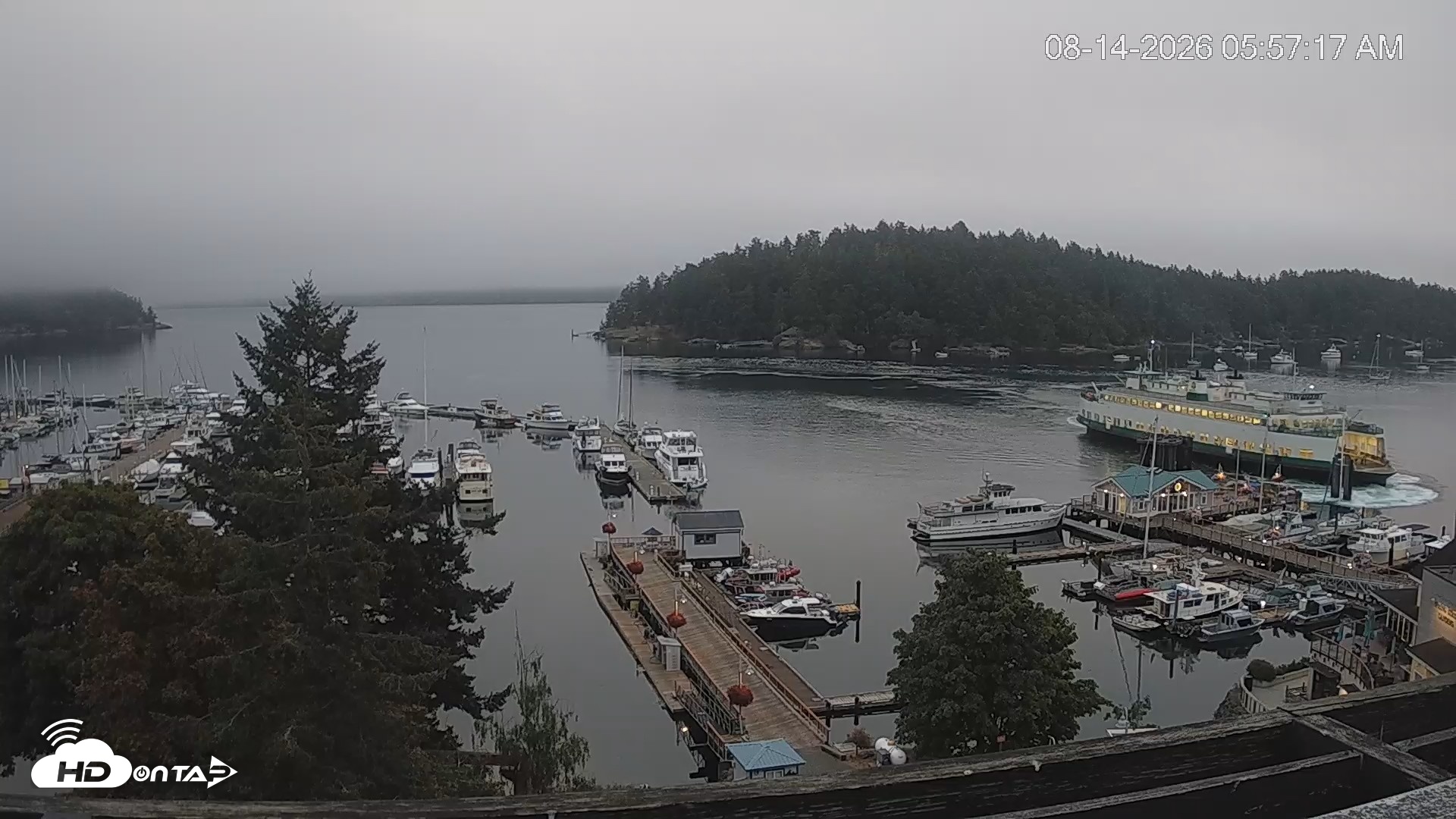 Snapshot of Friday Harbor - San Juan Island Live Webcam taken Aug 14, 2026, 5:58am PDT