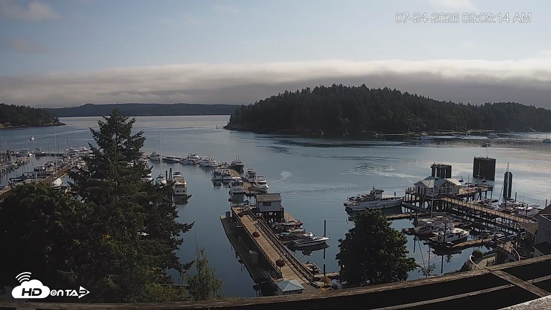 Snapshot of Friday Harbor - San Juan Island Live Webcam taken Jul 24, 2026, 9:06am PDT