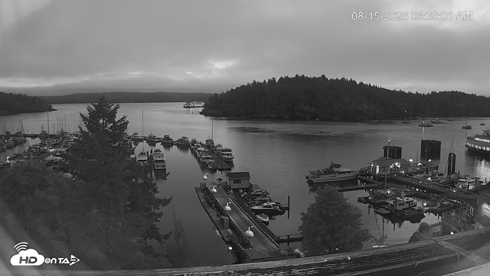Snapshot of Friday Harbor - San Juan Island Live Webcam taken Aug 15, 2026, 5:39am PDT