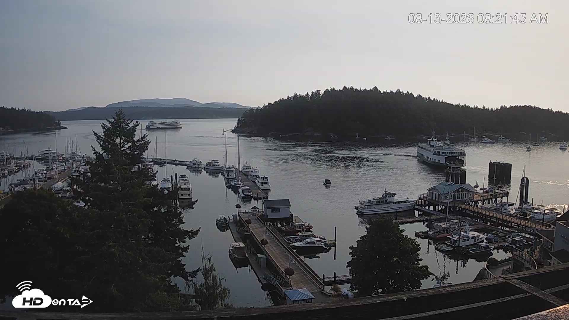 Snapshot of Friday Harbor - San Juan Island Live Webcam taken Aug 13, 2026, 8:22am PDT